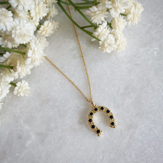 Horseshoe Necklace